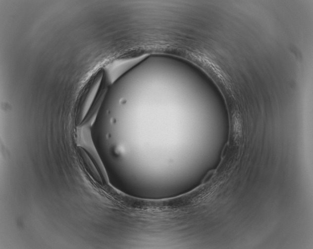 X0000090610684200708071204