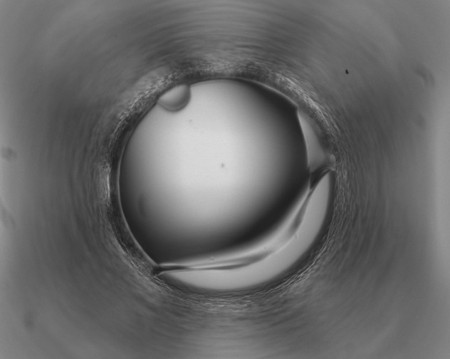 X0000090610685200708071204