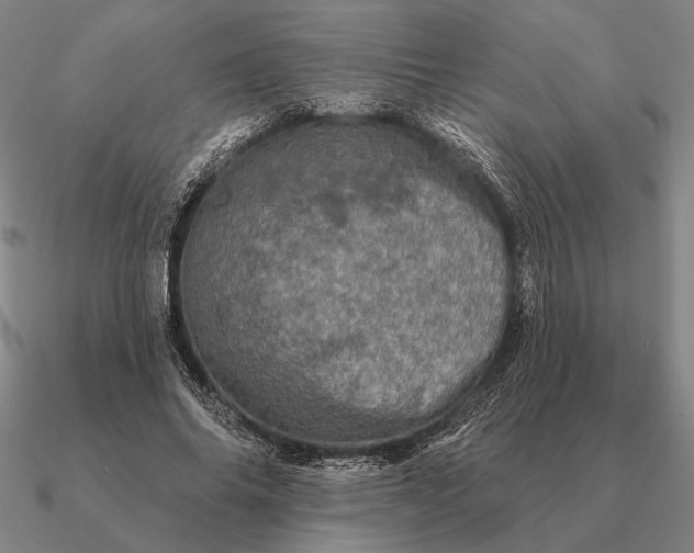 X0000090610686200708071204