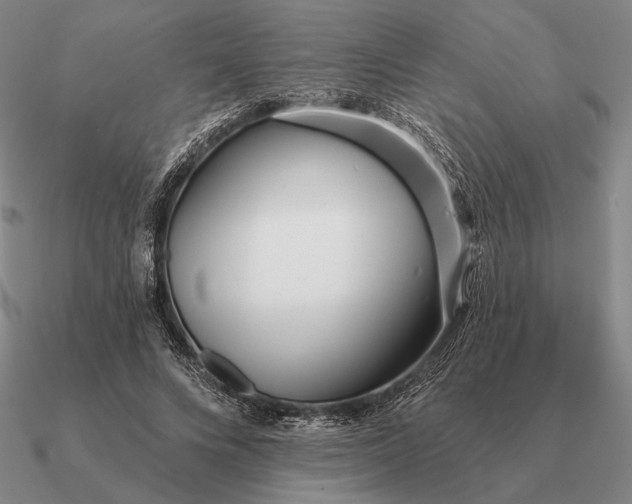 X0000090610688200708071203