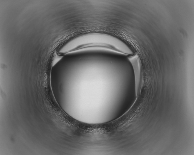 X0000090610689200708071203