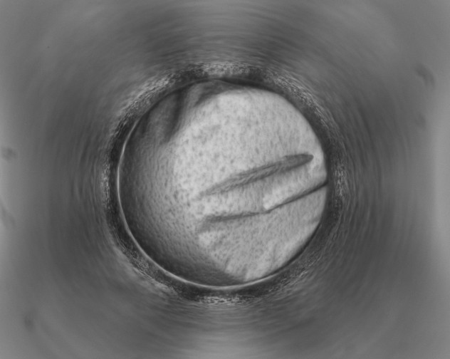 X0000090610690200708071203