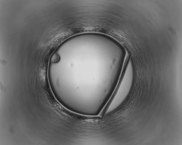 X0000090610691200708071203