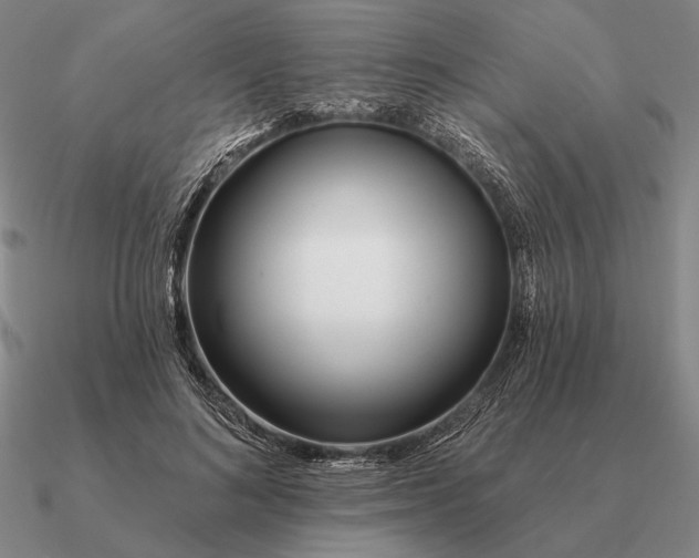 X0000090610692200708071203