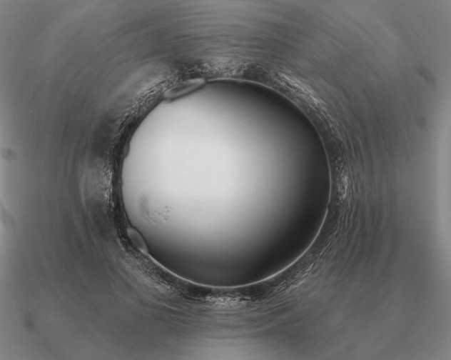 X0000090610693200708071203