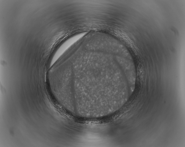 X0000090610694200708071203