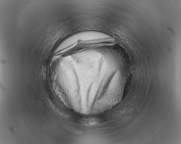 X0000090610695200708071203