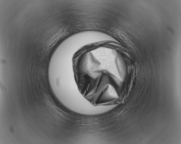 X0000090610696200708071203