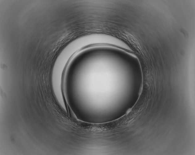 X0000090610697200708071203