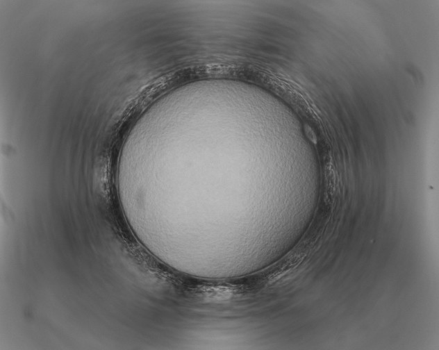 X0000090610698200708071203