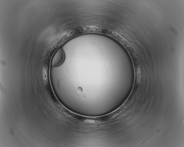 X0000090610699200708071203