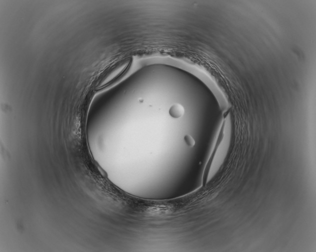 X0000090610700200708071203