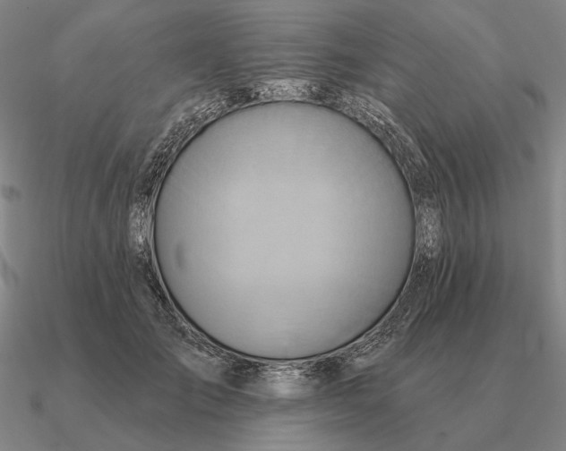 X0000090610701200708071203