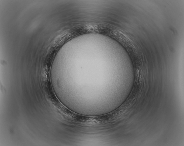 X0000090610702200708071203