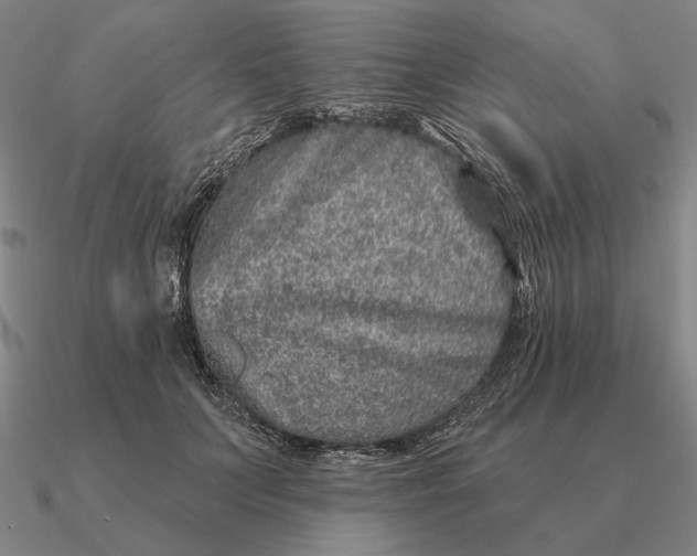 X0000090610703200708071203