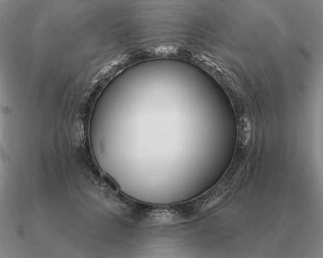 X0000090610704200708071203