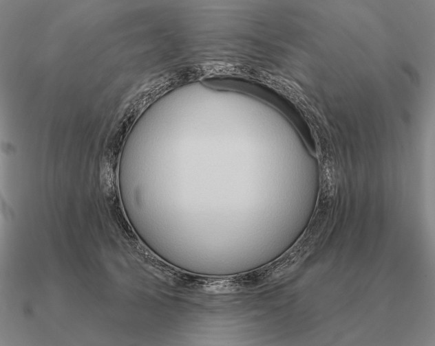 X0000090610705200708071203