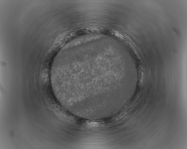 X0000090610706200708071203