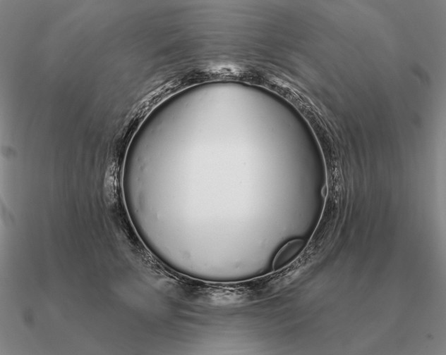 X0000090610707200708071203