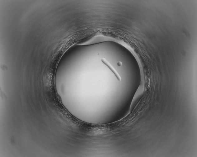 X0000090610708200708071203