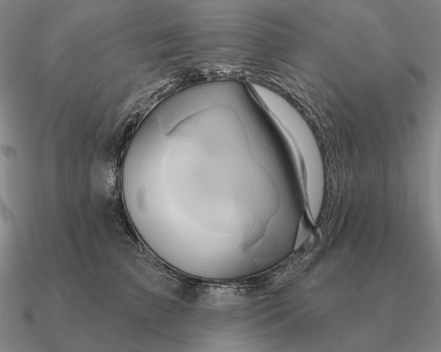 X0000090610709200708071203