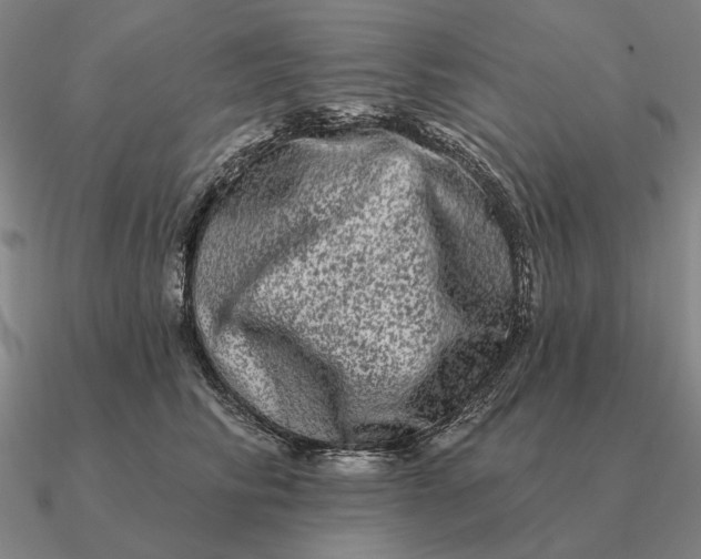 X0000090610710200708071203