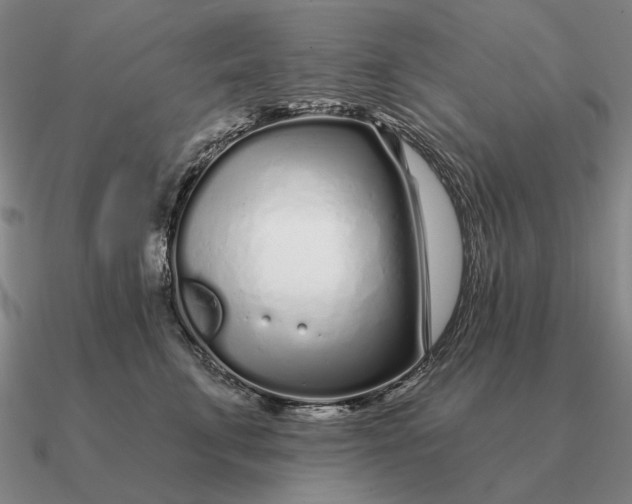 X0000090610711200708071203