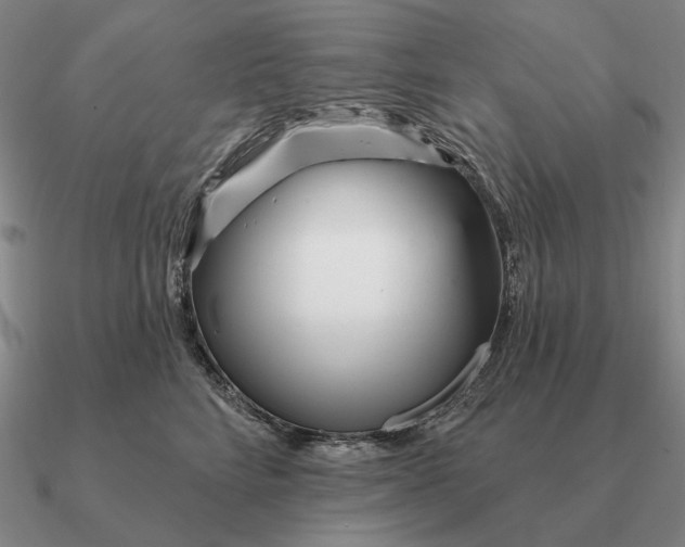 X0000090610712200708071203