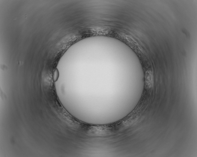 X0000090610713200708071203