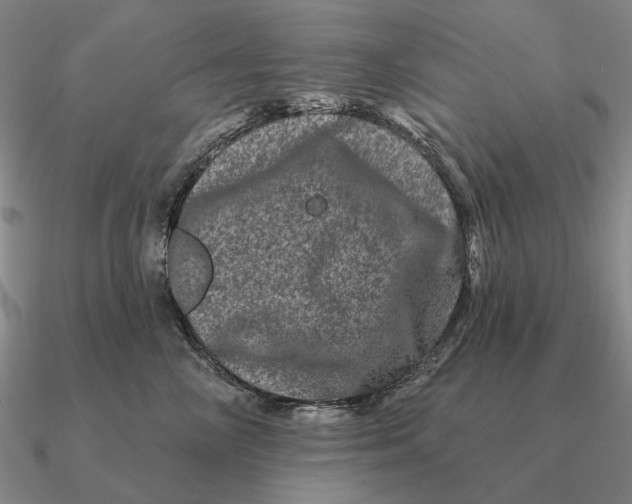 X0000090610714200708071203