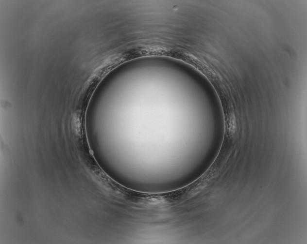 X0000090610715200708071203