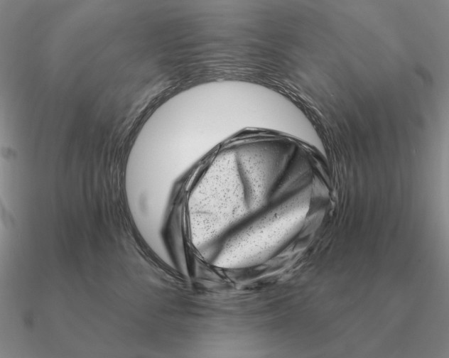 X0000090610716200708071203