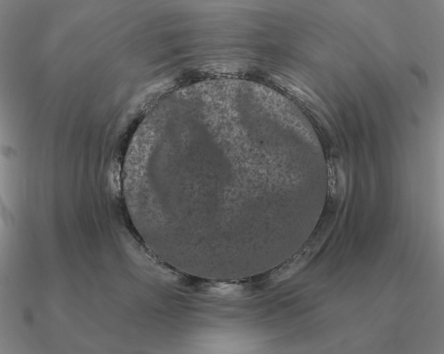 X0000090610718200708071203