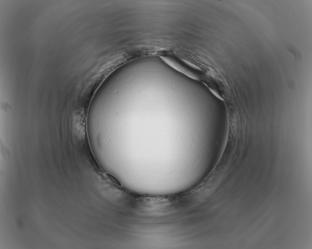 X0000090610719200708071203