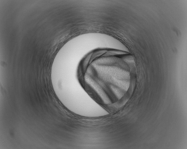 X0000090610720200708071203