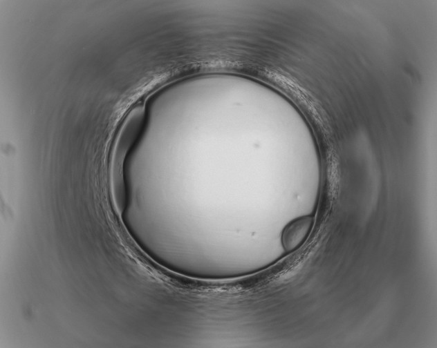 X0000090610721200708071202