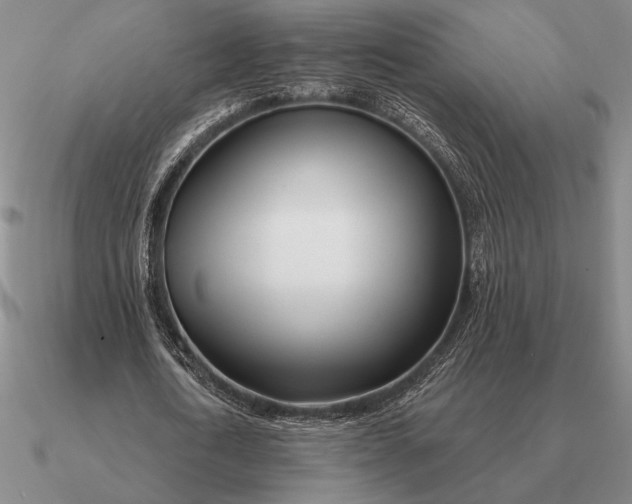 X0000090610722200708071202