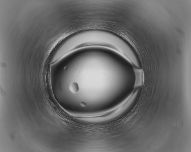 X0000090610723200708071202