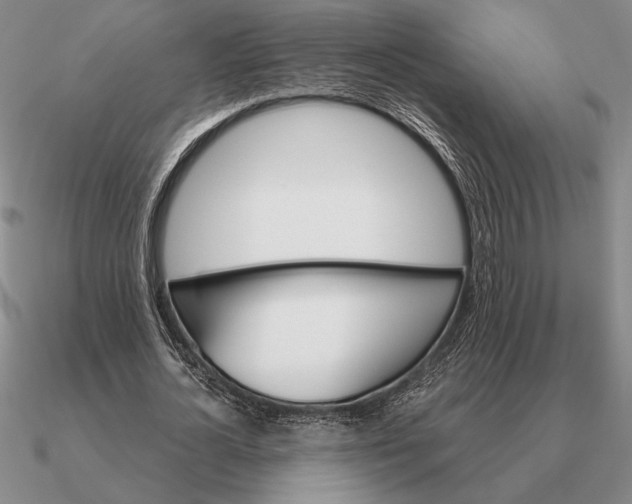 X0000090610724200708071202