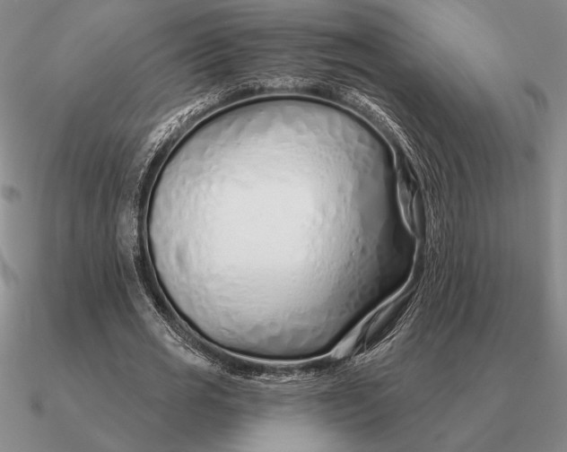 X0000090610725200708071202