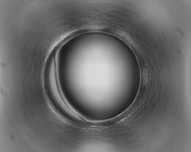 X0000090610726200708071202