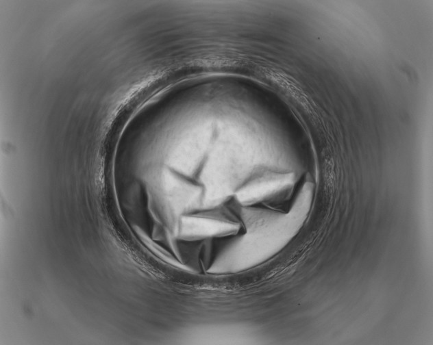 X0000090610727200708071203