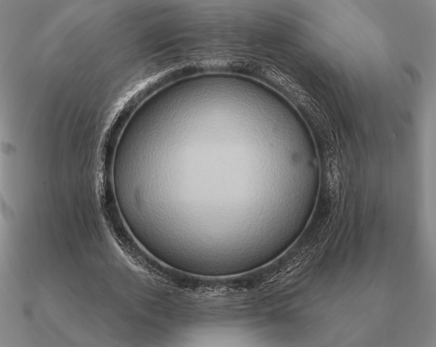 X0000090610728200708071203