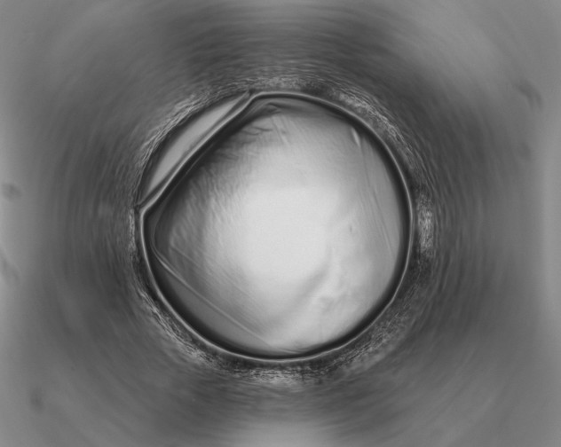 X0000090610729200708071203