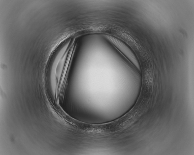 X0000090610730200708071203