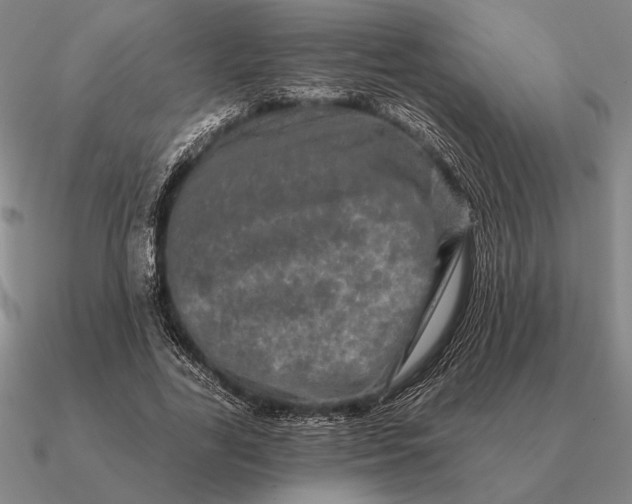 X0000090610731200708071203