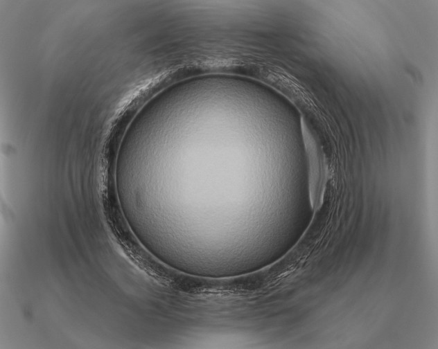 X0000090610732200708071203