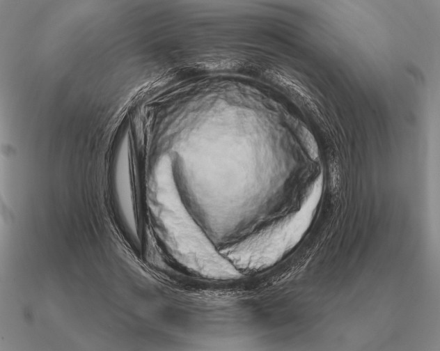 X0000090610733200708071203