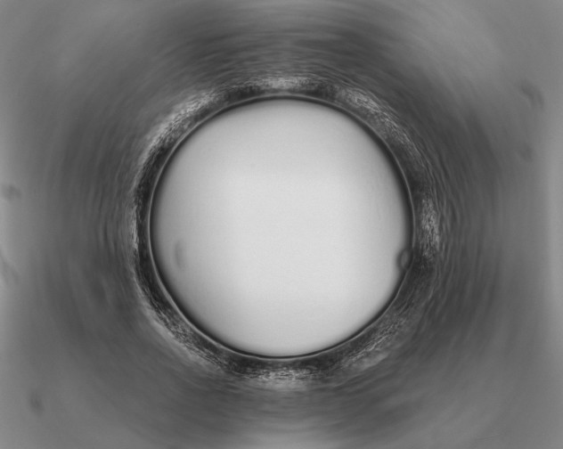 X0000090610734200708071203