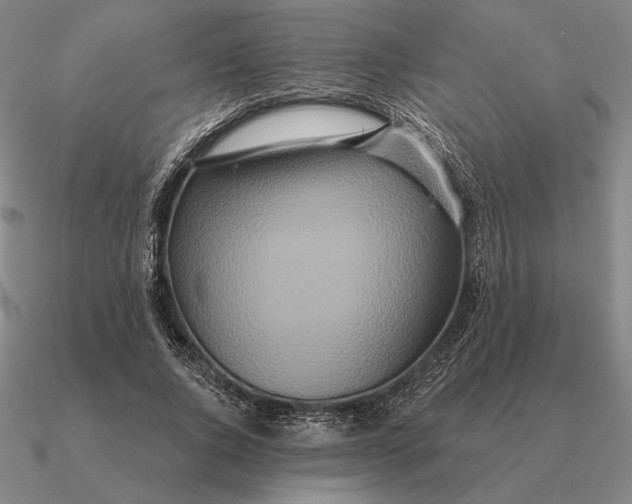 X0000090610736200708071203